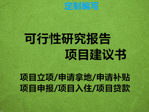 可行性研究报告